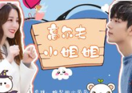 有没有高甜的小姐姐小说